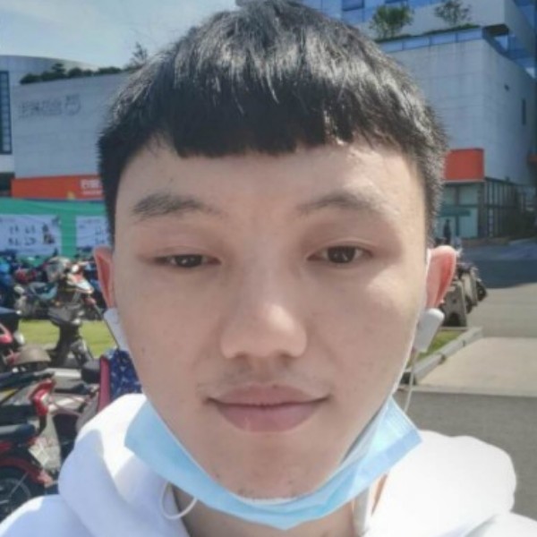 猫咪等待矮小的照片
