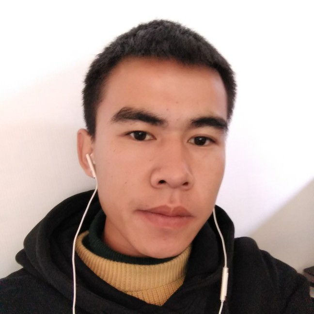 灰狼等于羞涩的照片