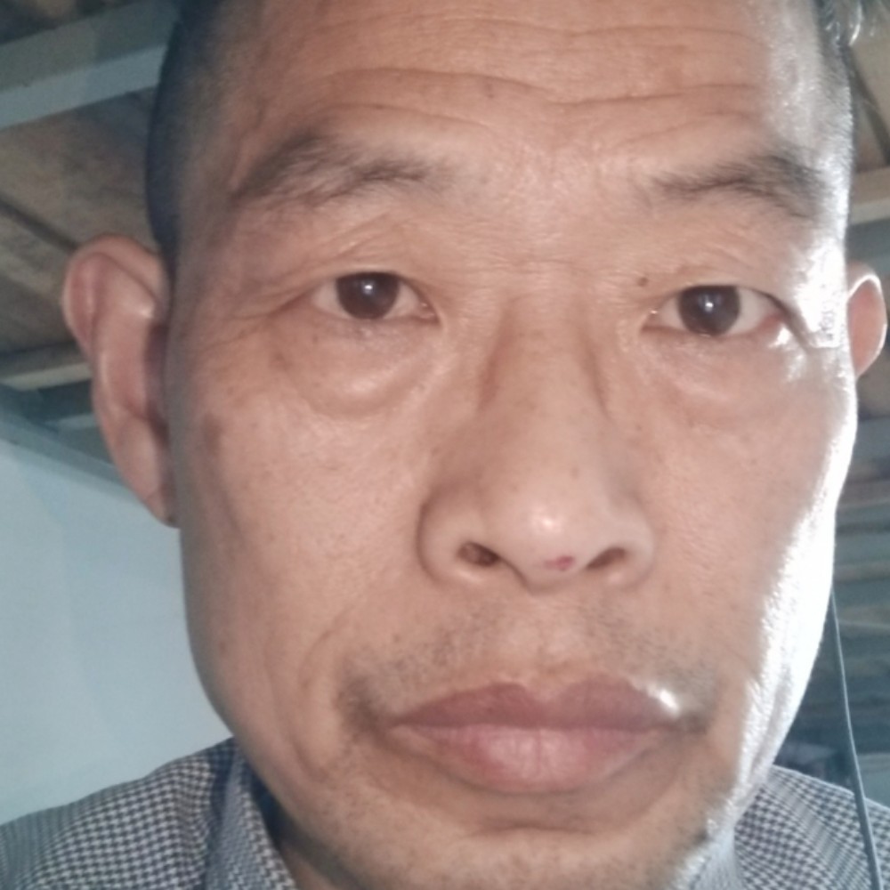 城市风境的照片