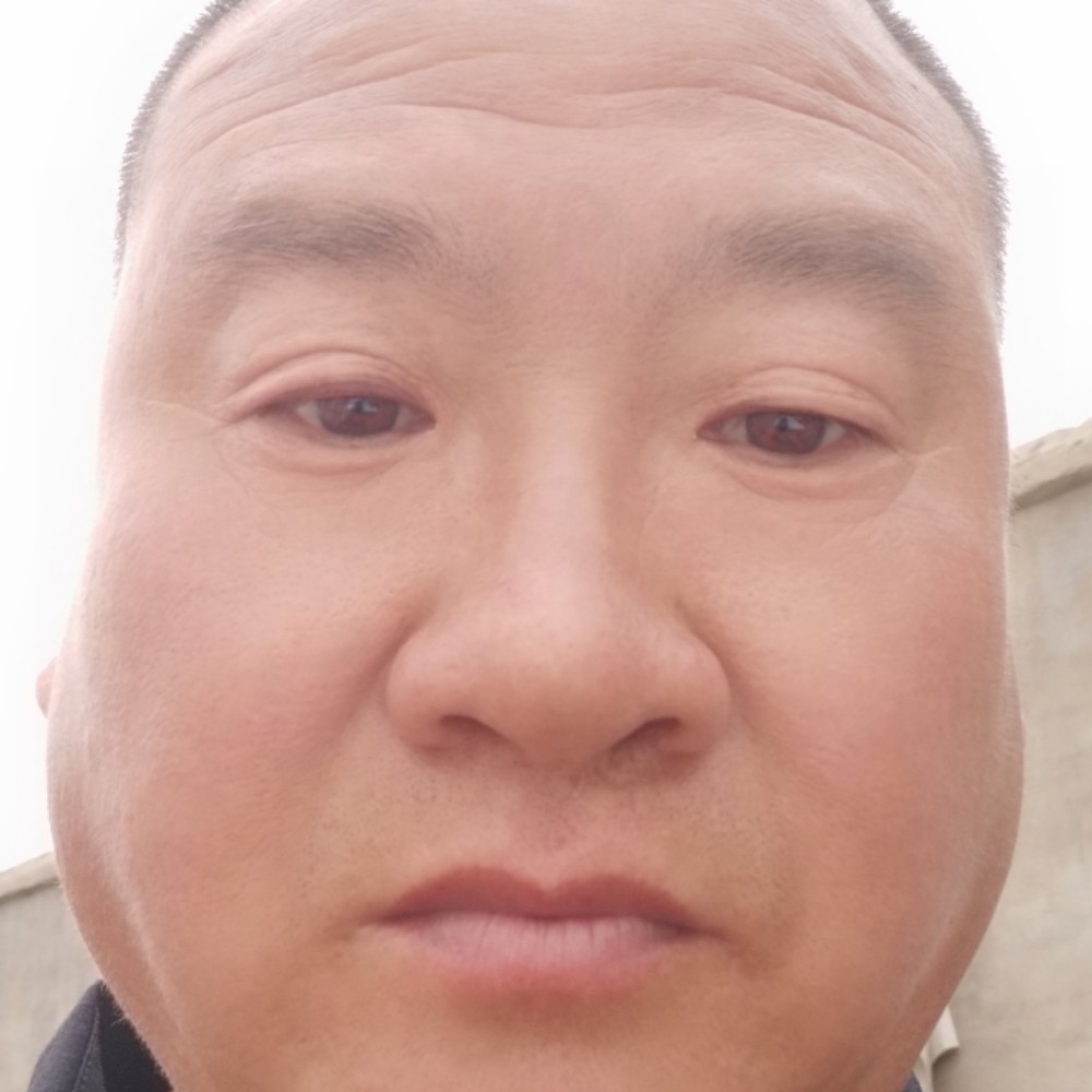 和谐漫步面包想念的照片