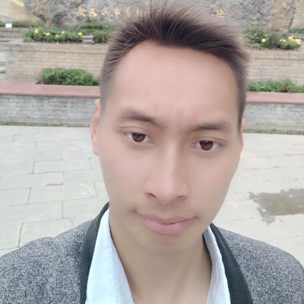 玫瑰那殷勤的照片