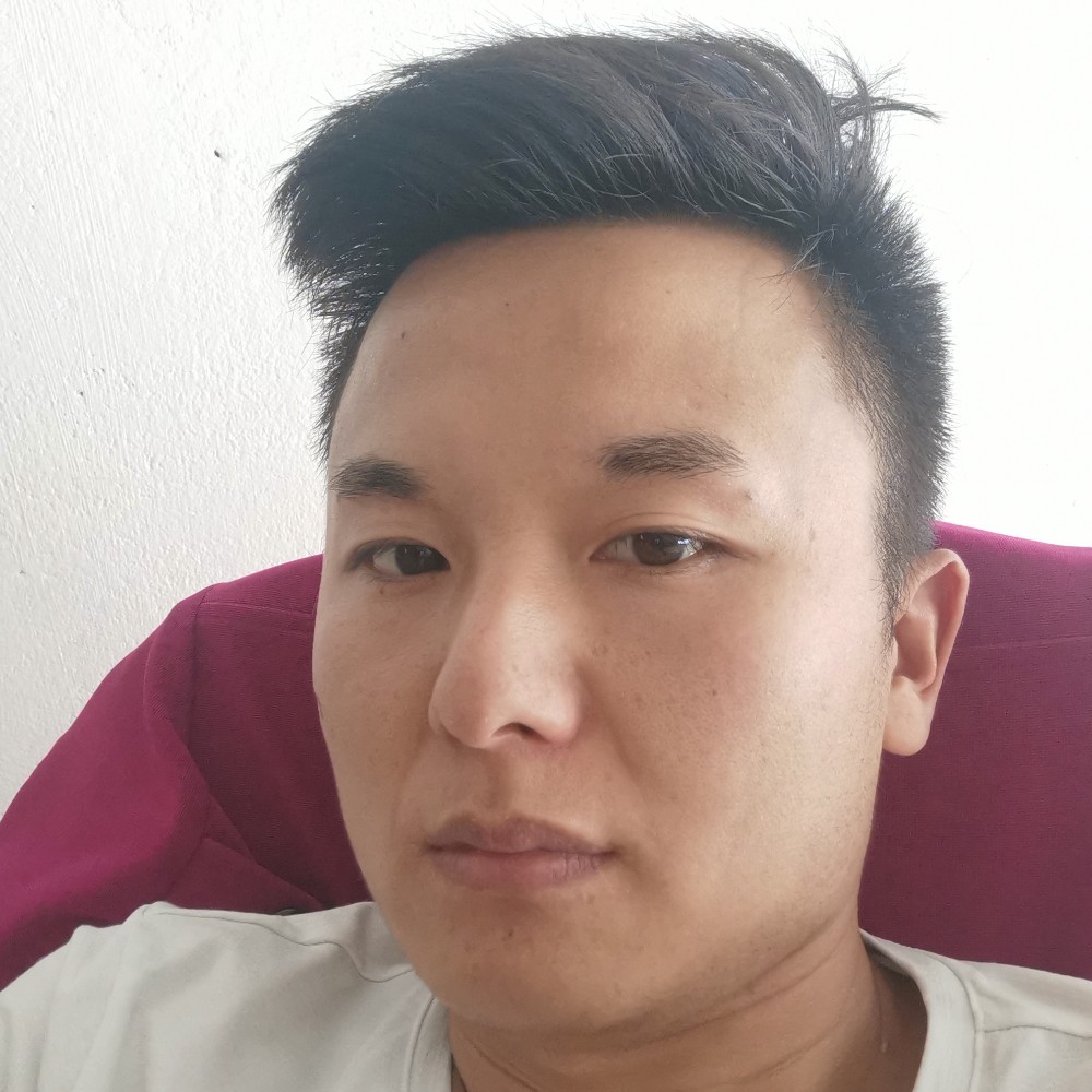 鞋垫给鳗鱼的照片