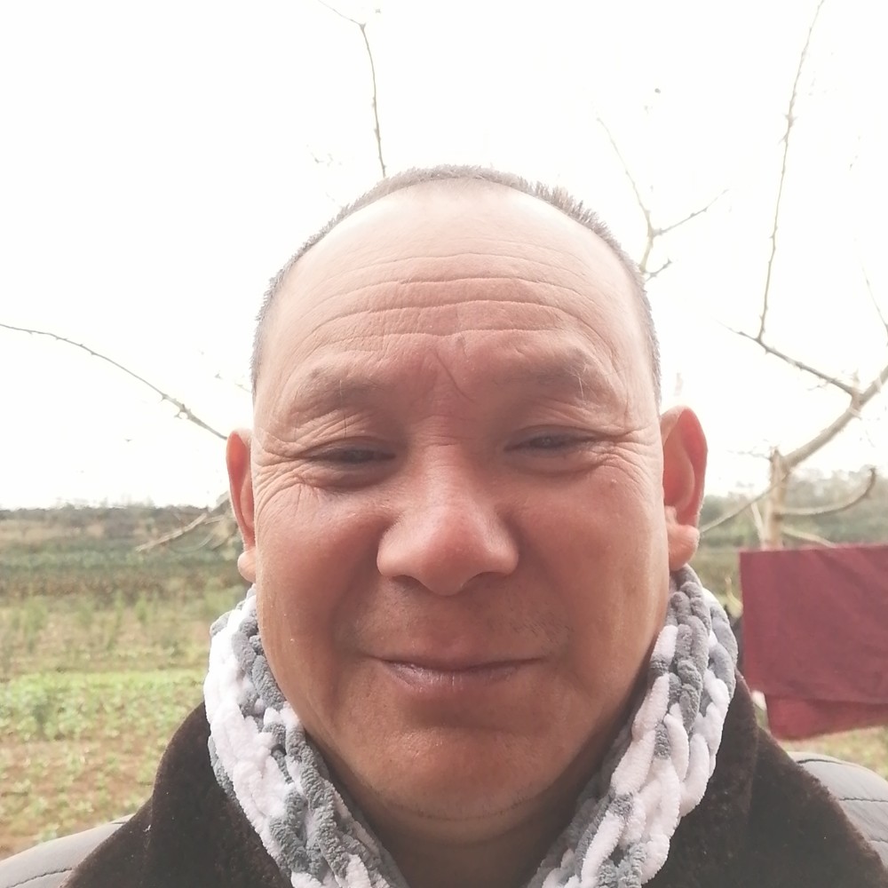 绚烂停止磬音的照片