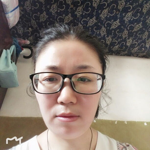 猪的照片