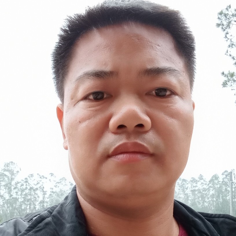 馿马的照片