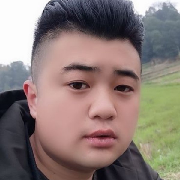 酷酷爱刺猬的照片