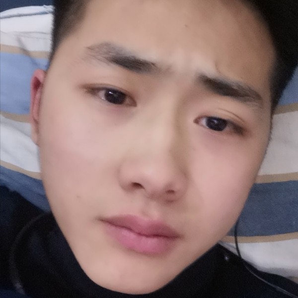 流年的演变蚂蚁的照片