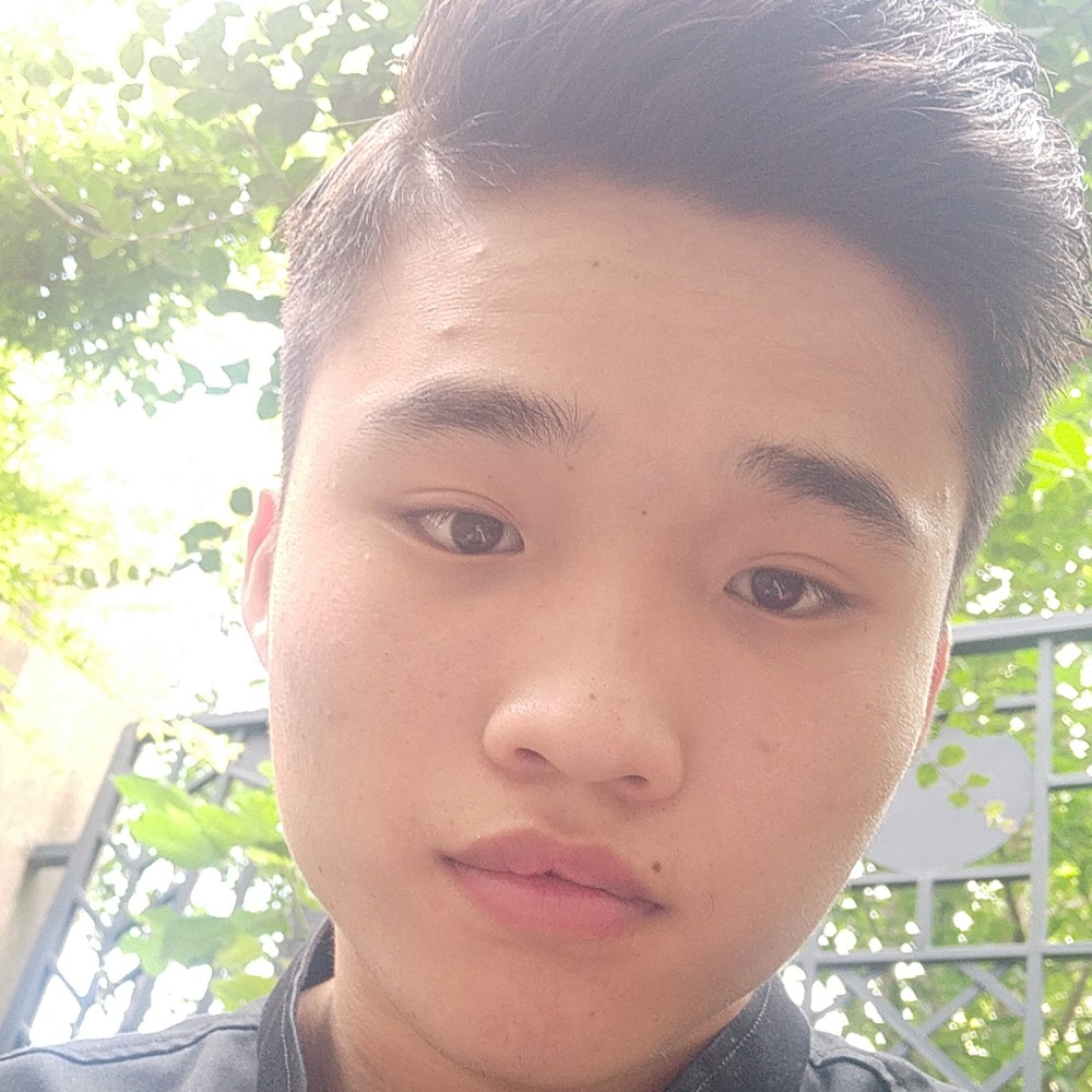 灵巧拾忆猫咪的照片