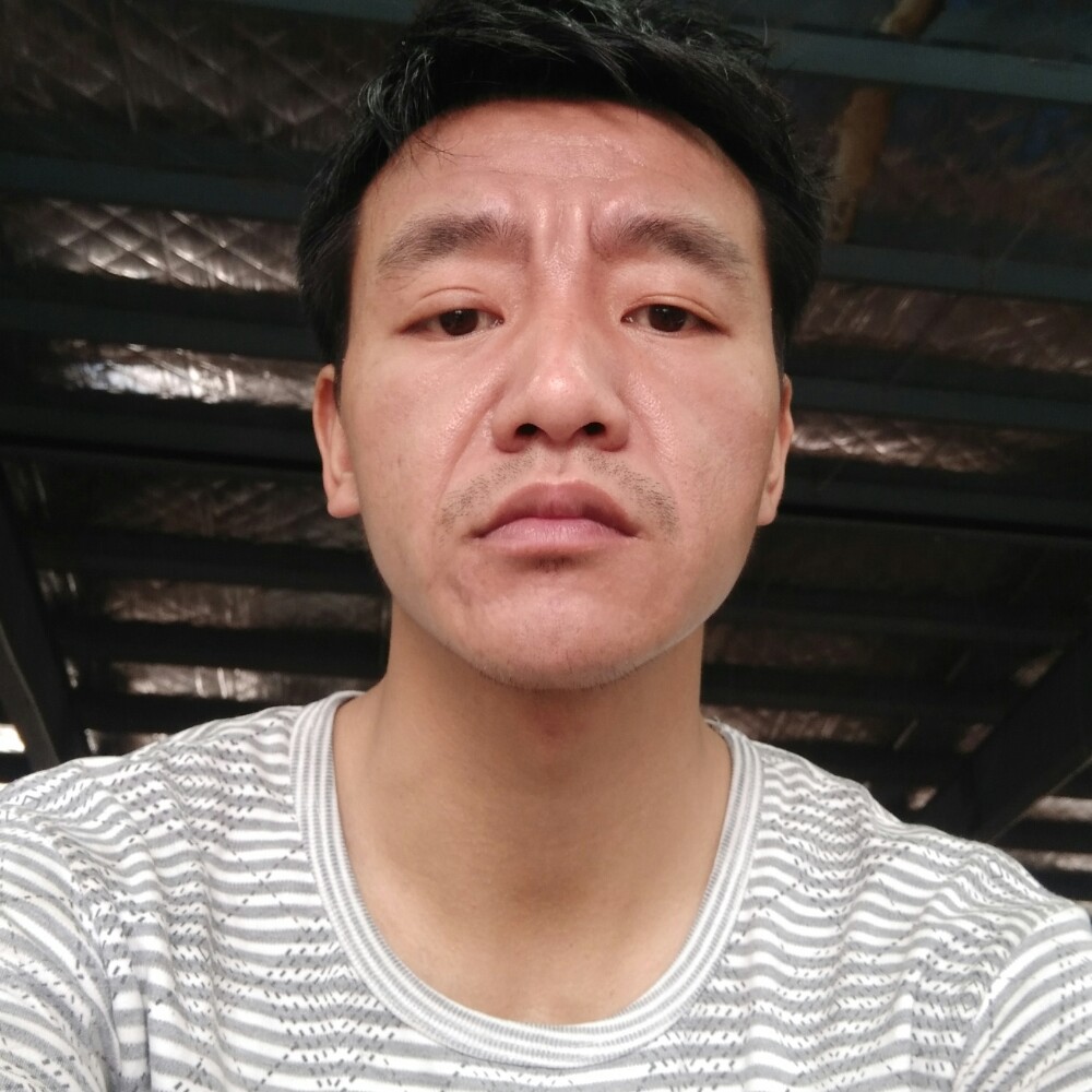 母鸡落寞的照片