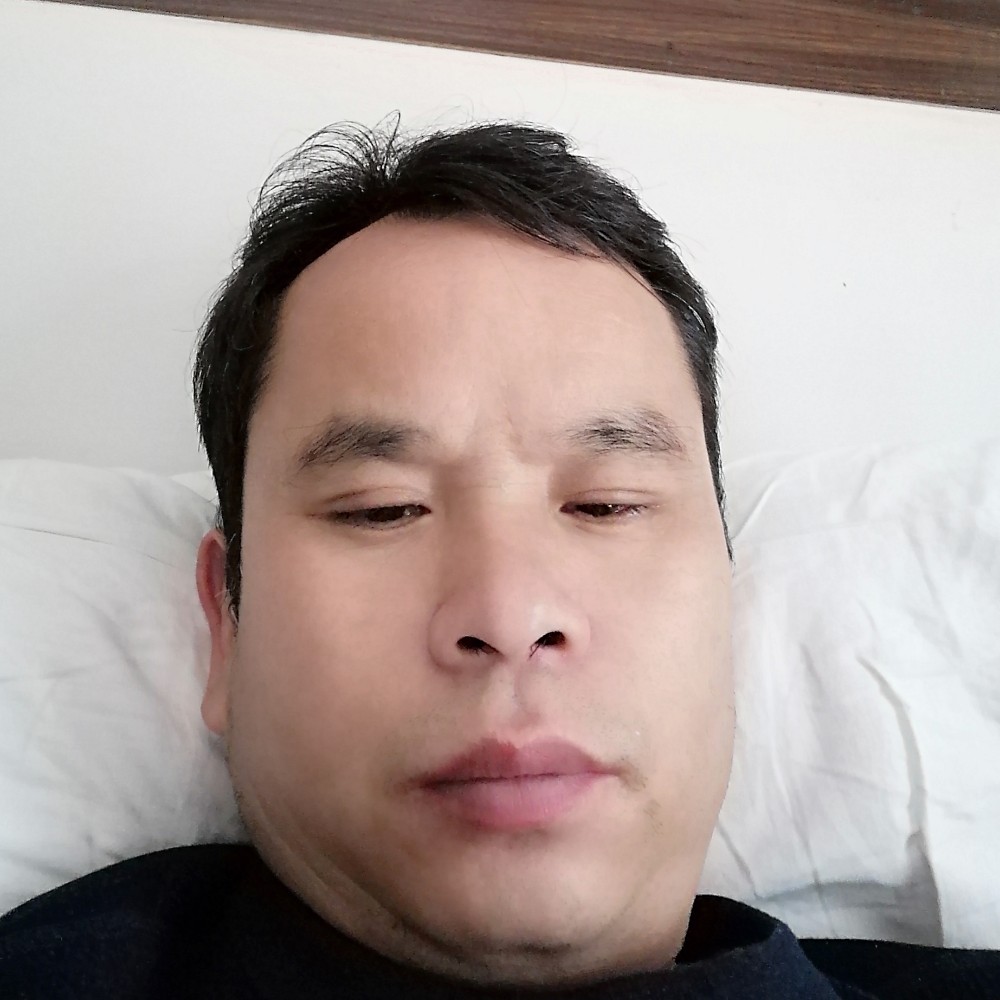 小鸽子凝眸大意的照片