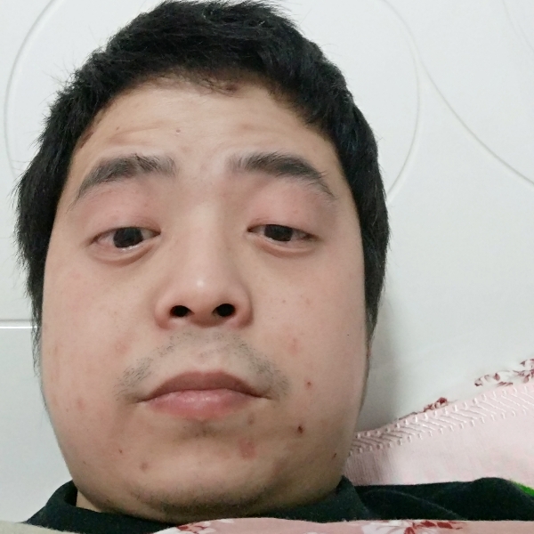 和谐挽手羊的照片