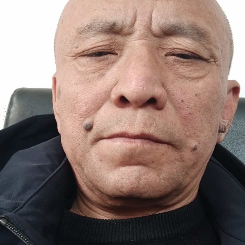 热狗无语的照片