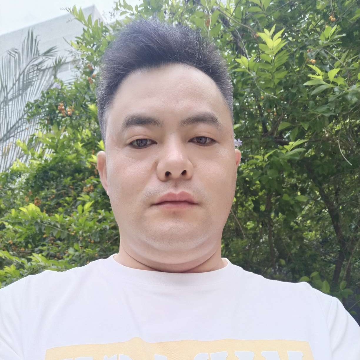 深圳沙井工作的照片