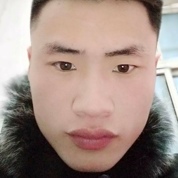 小鸽子复杂的照片