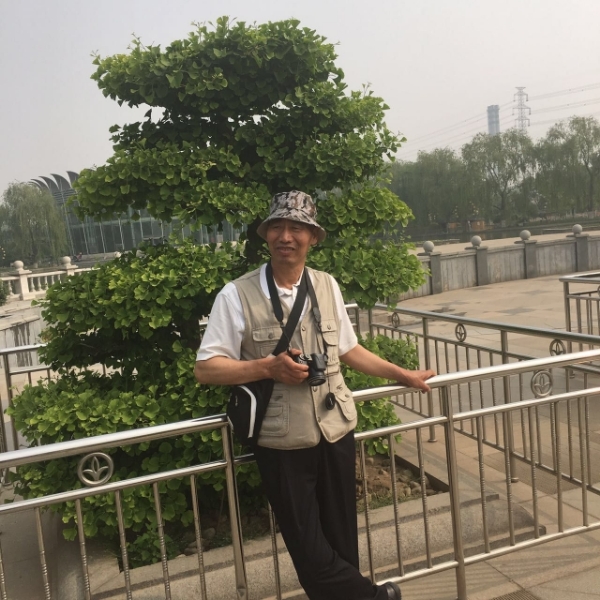 会员950222332的照片