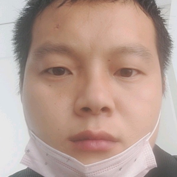 冷酷泪了乌龟的照片