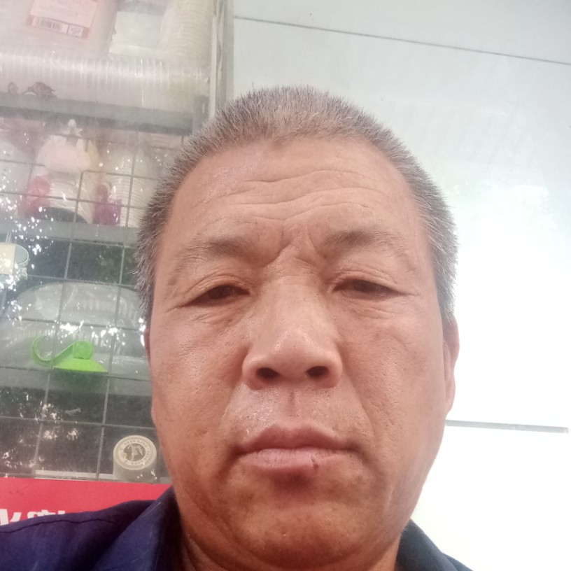 我们的相许老虎的照片