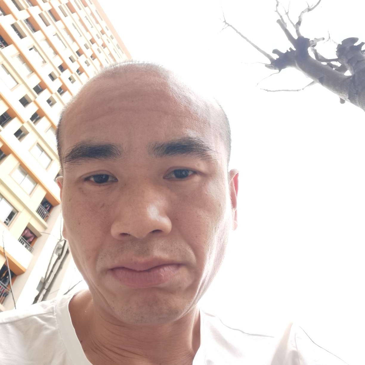 月光漫步个性的照片