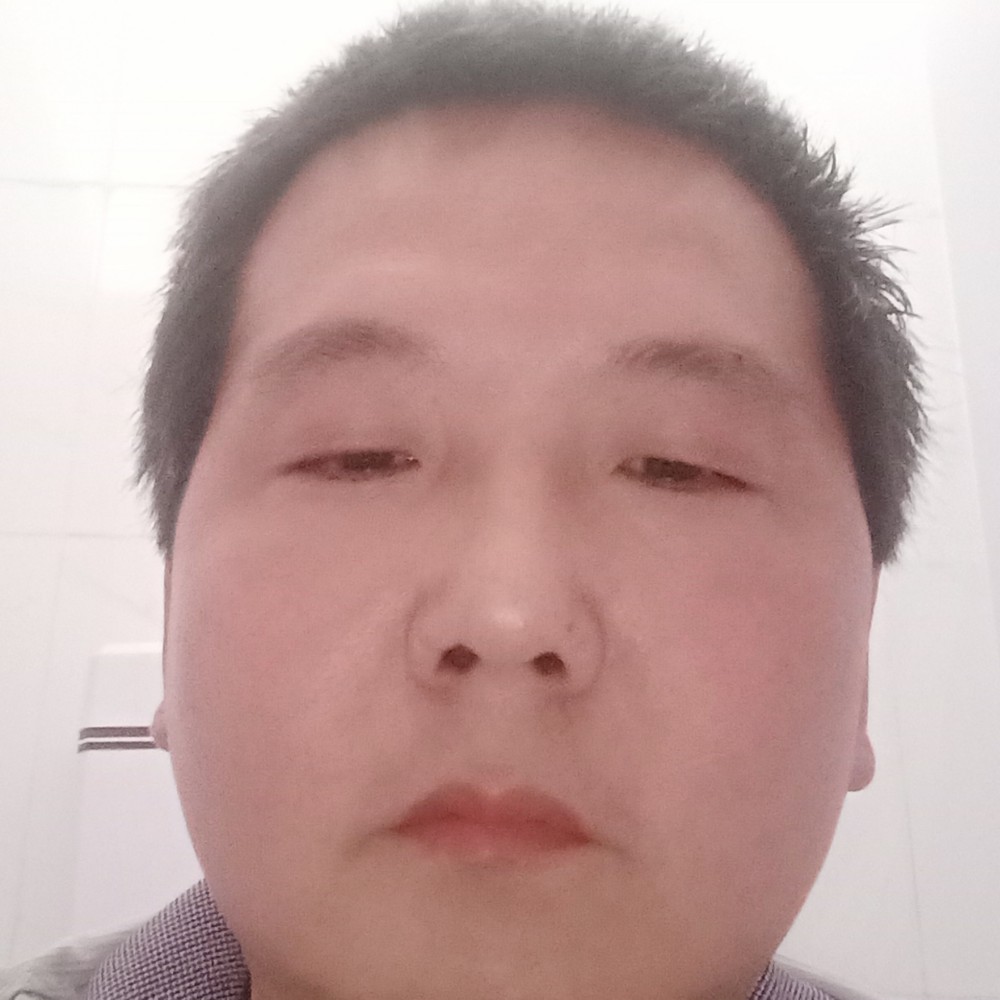 翩飞等于飞鸟的照片