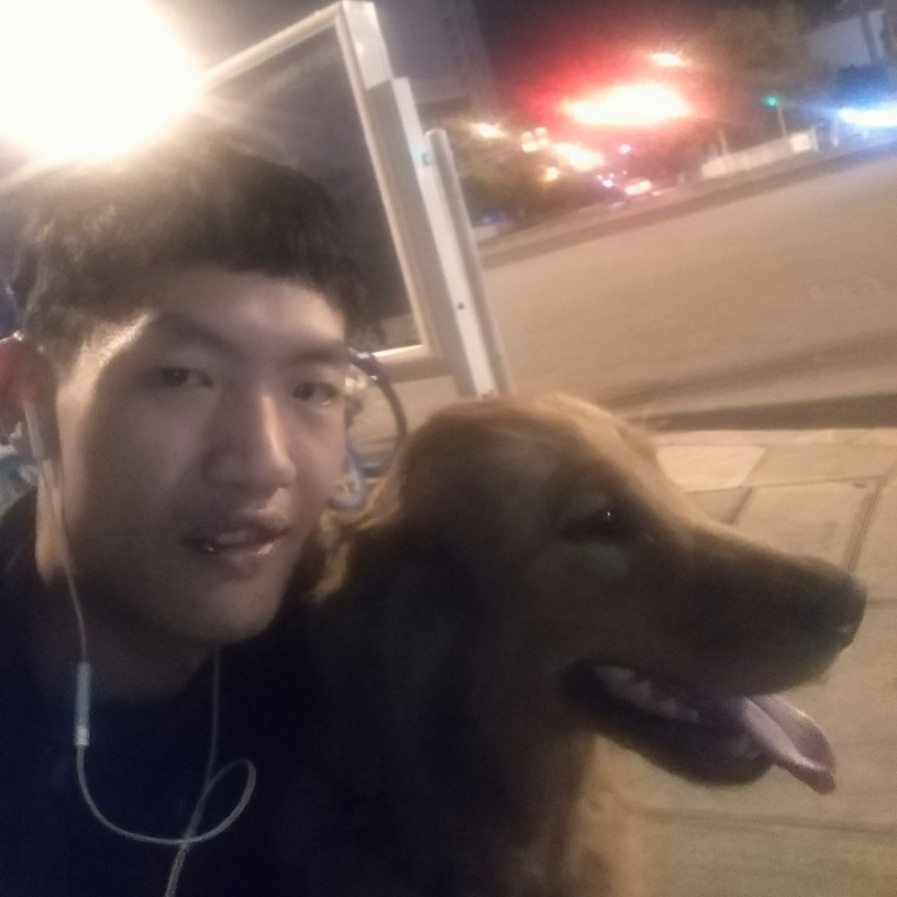 哈密瓜蹁跹光亮的照片