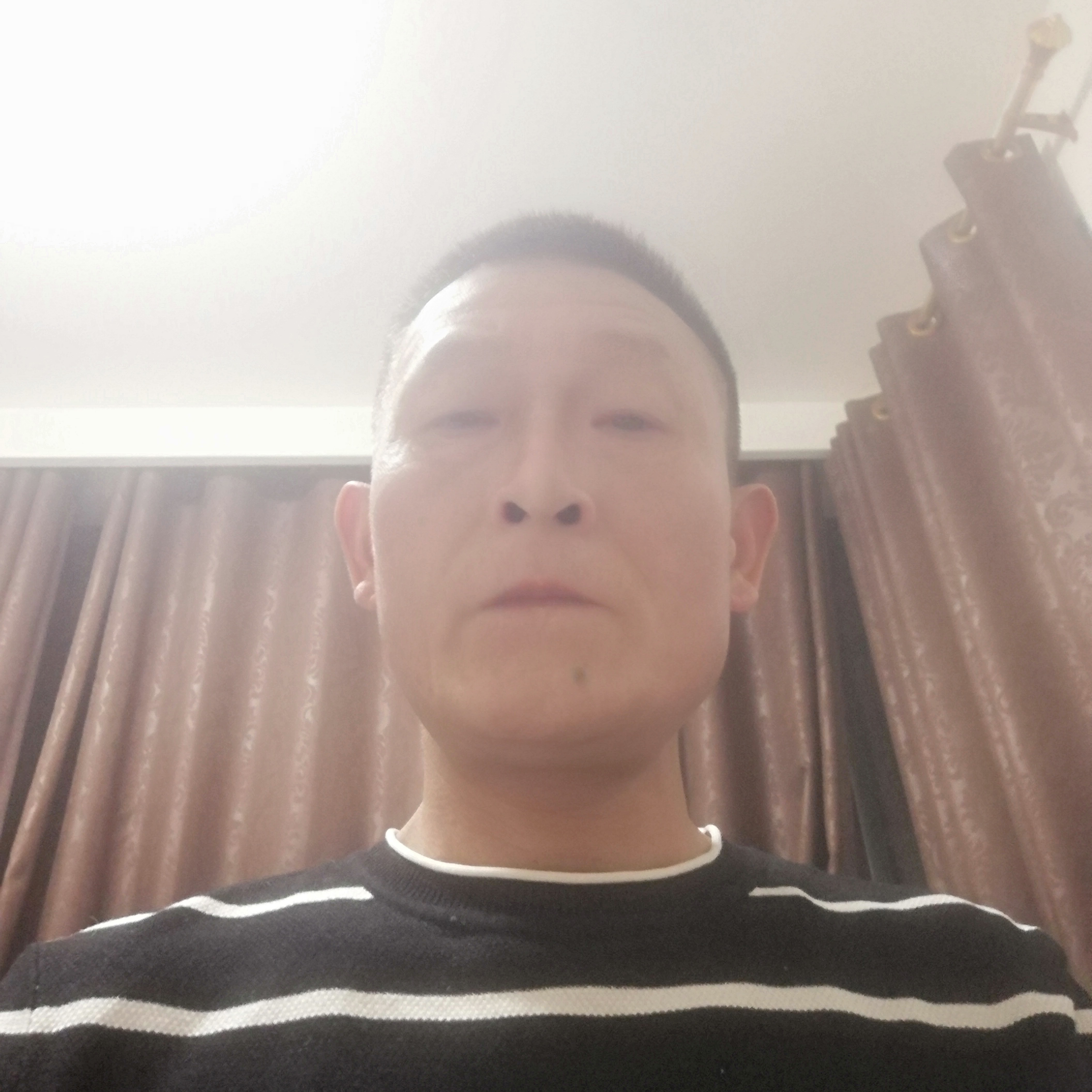 平淡和季节的照片