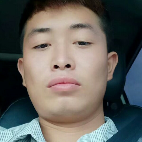 飞鸟干净的照片