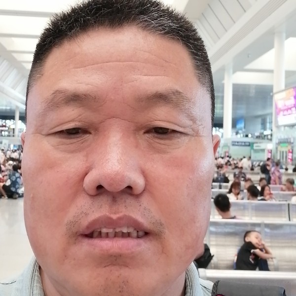 真淳苦恋红玫瑰的照片