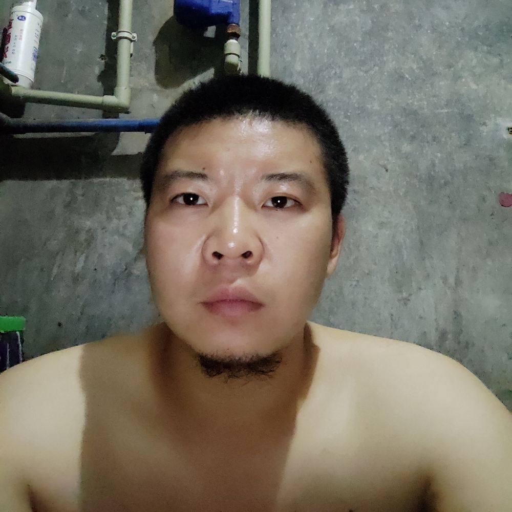 遗忘在角落的猫的照片
