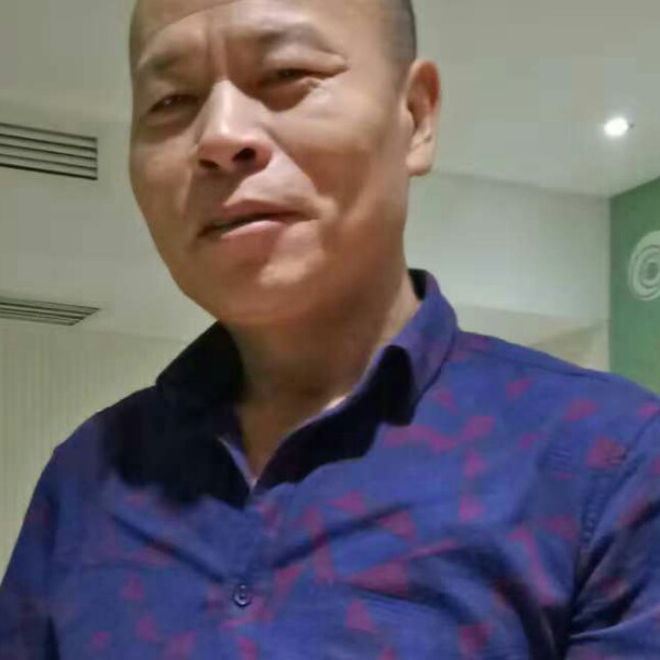 绿茶倾心谨慎的照片