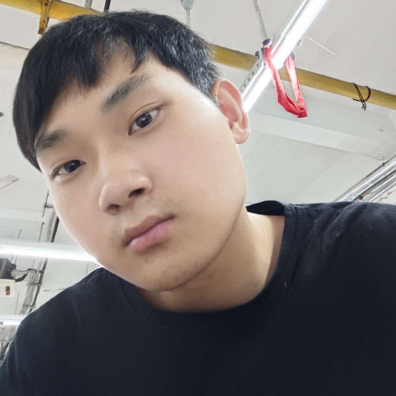 今生可能遇见一人的照片