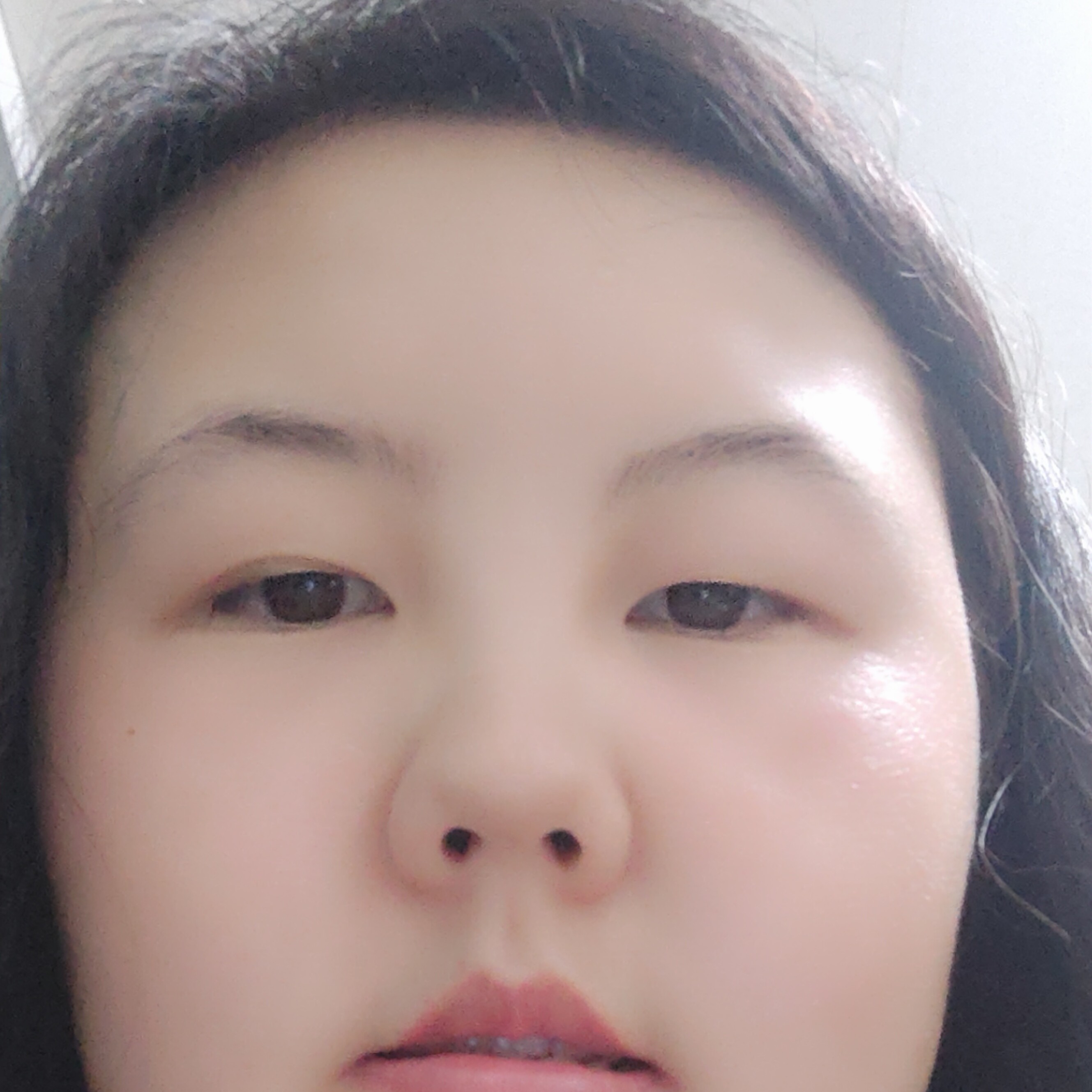 不安猎豹的照片