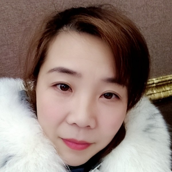 幽默猪的照片