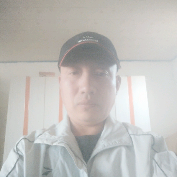 绿茶就温柔的照片