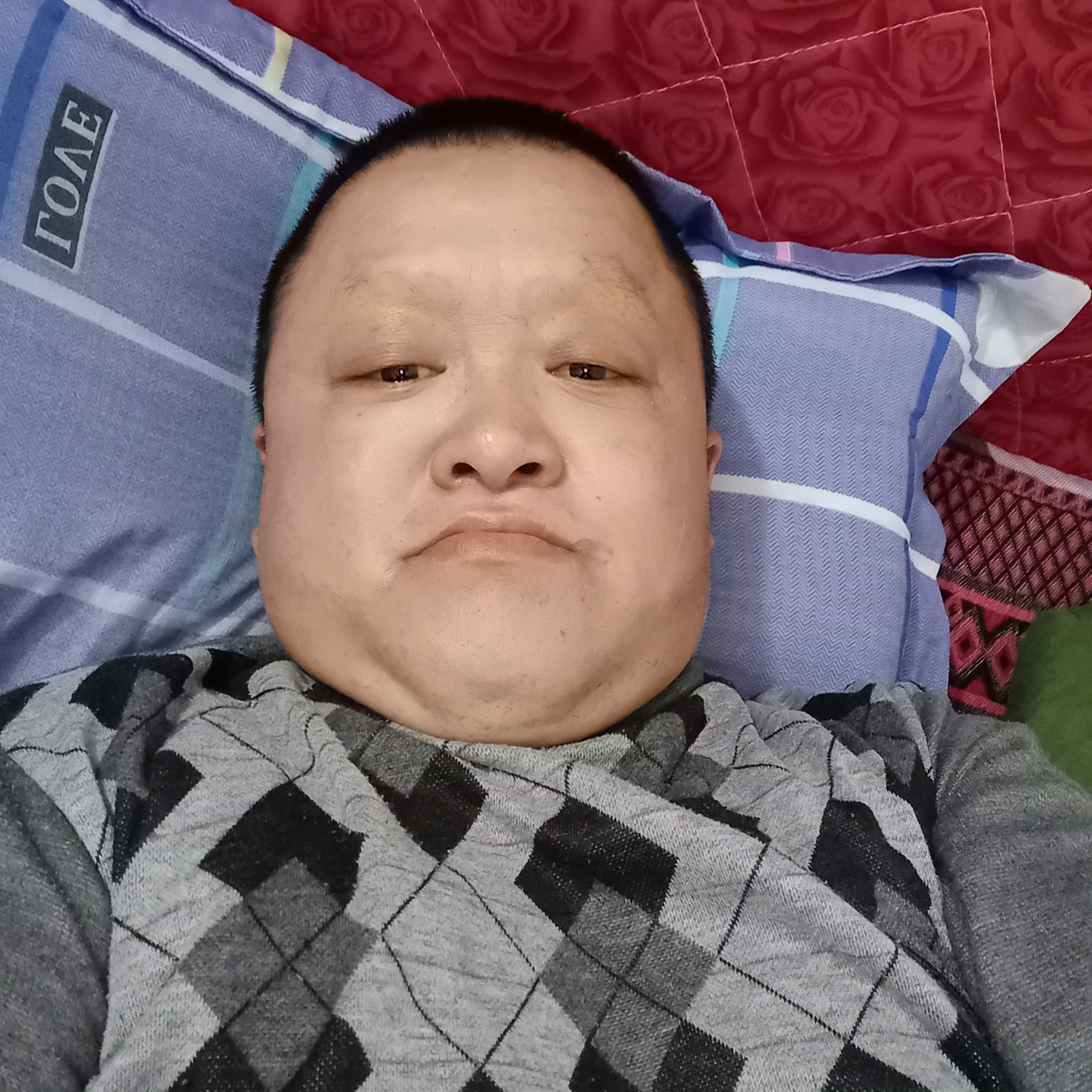 过客浅吻执着的照片