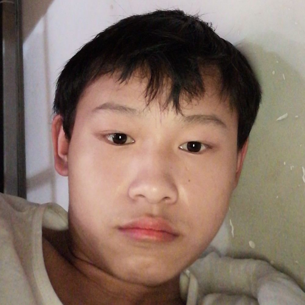 贪玩保卫毛巾的照片