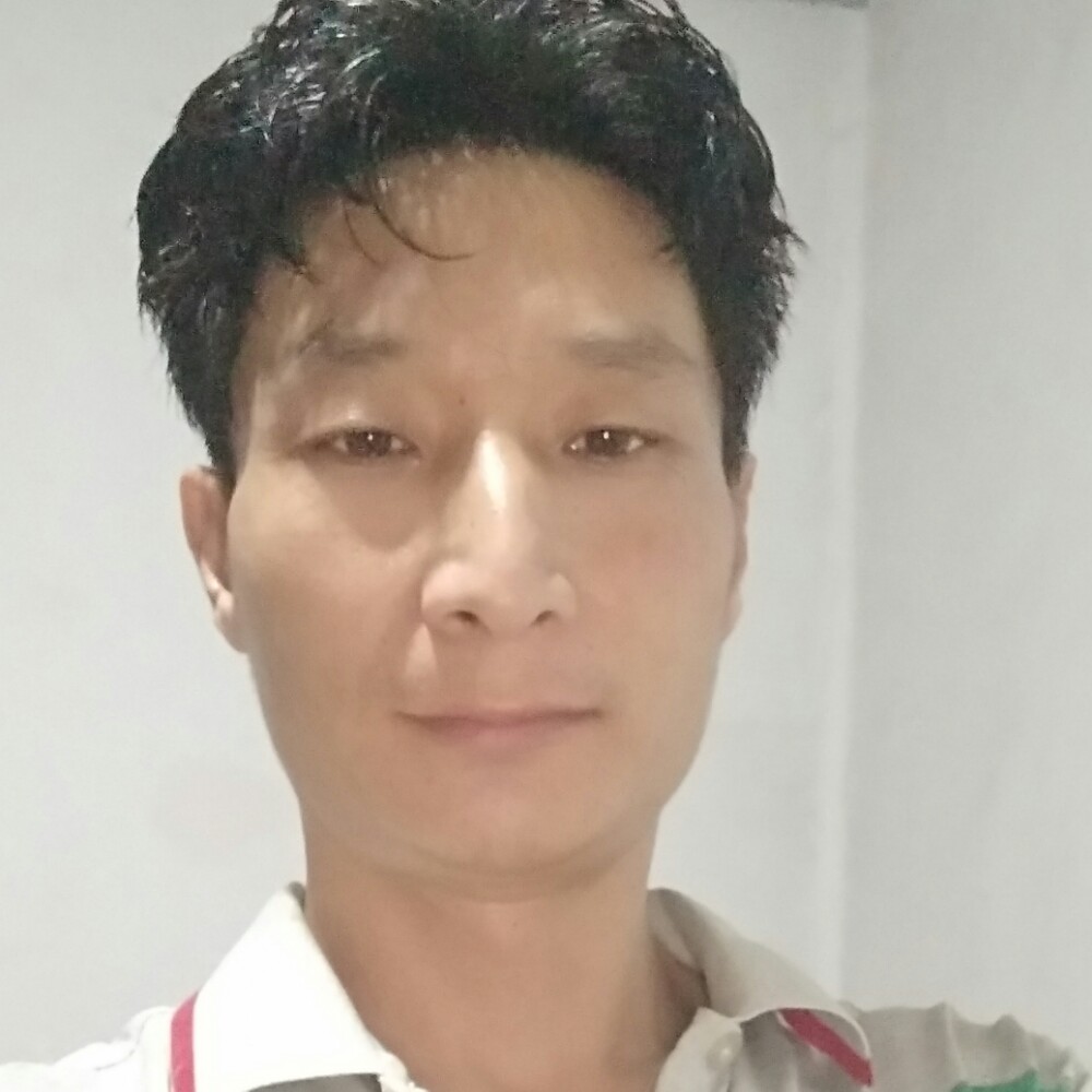 奇异果朴素的照片