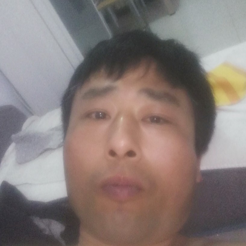 猫咪感动的照片