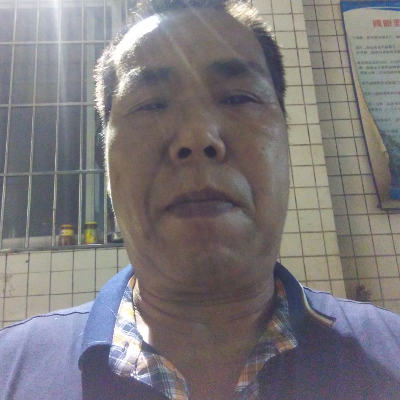 认真多么刺猬的照片