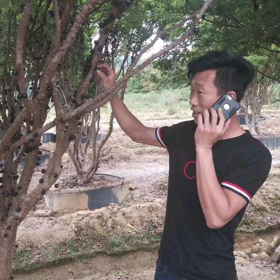 啊宁闯上海的照片