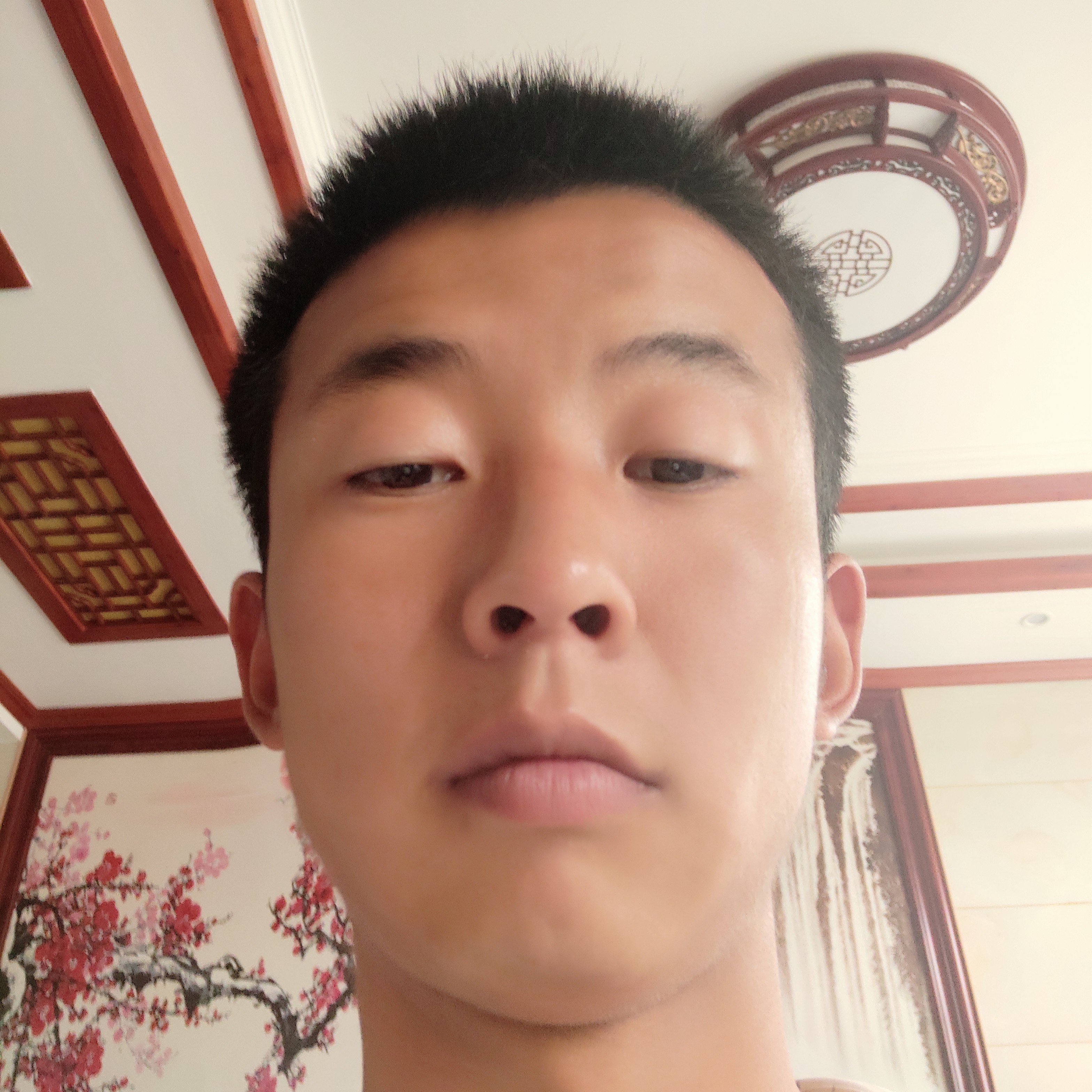 呆萌笑小蝴蝶的照片