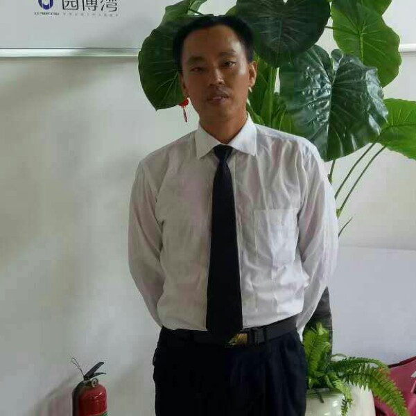 健壮黄豆的照片