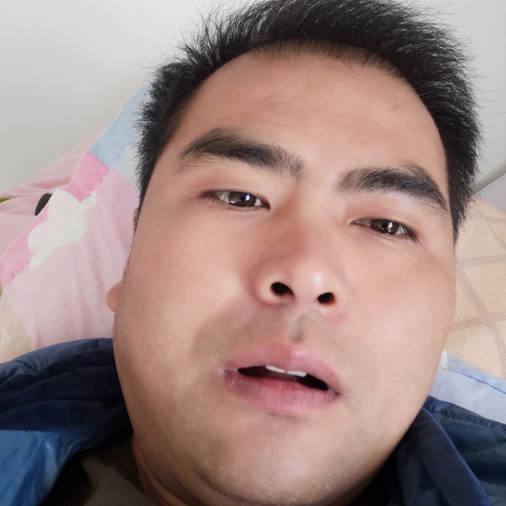 有魅力遇見鸭子的照片