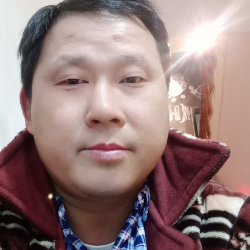 砖头要减肥的照片