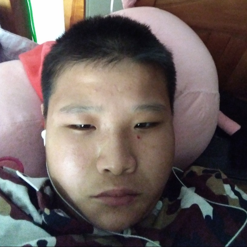 香菇辛勤的照片