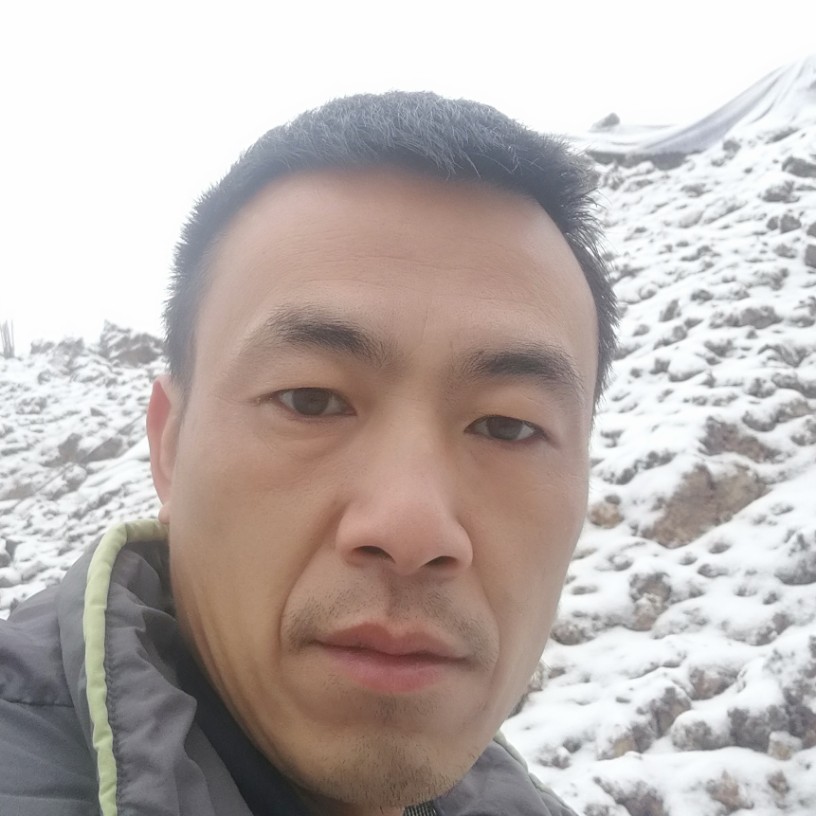 我深爱的照片