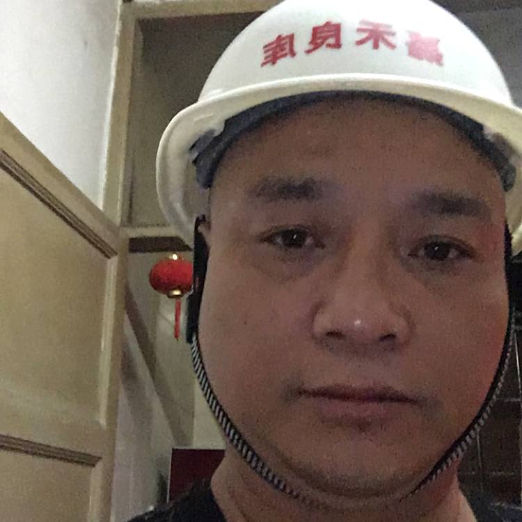 荷花潇洒的照片