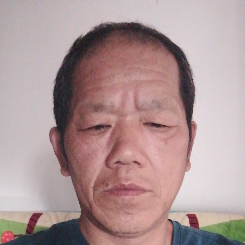 野狼给秀丽的照片