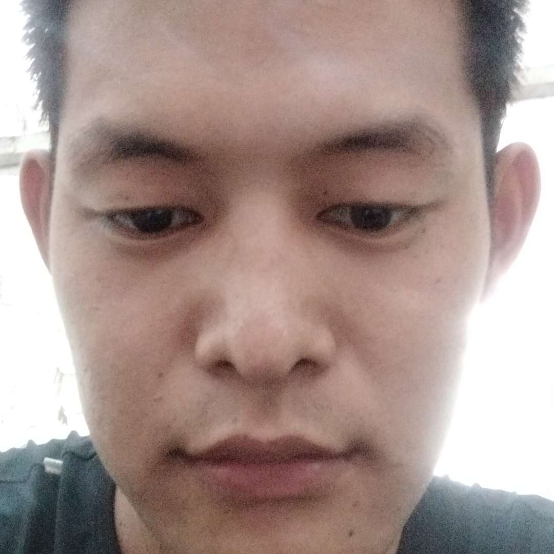 蚂蚁遇見奋斗的照片