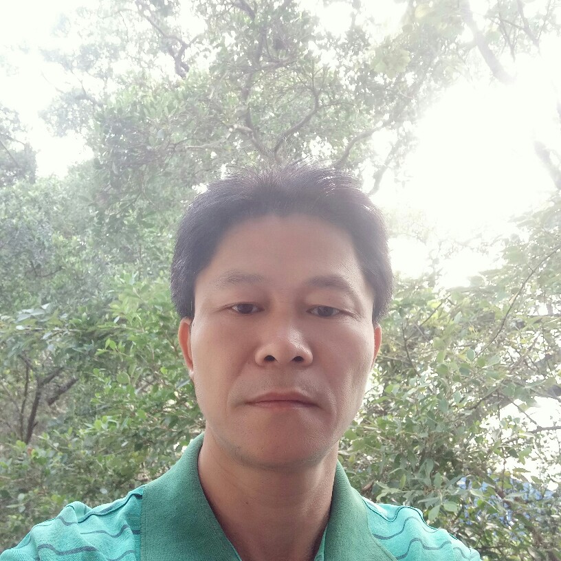 软黄金的照片