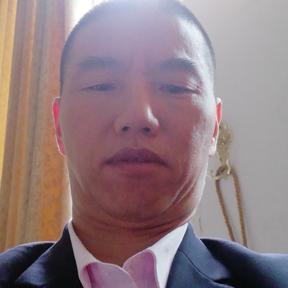 落拓蜜蜂的照片